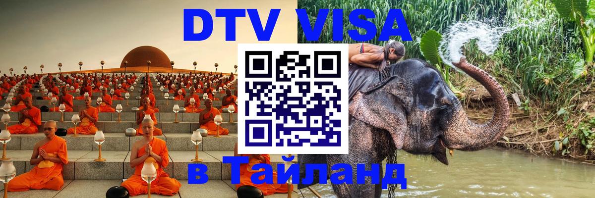 Сколько стоит DTV виза — актуальные цены, оформление даже без документов - Дамаск 